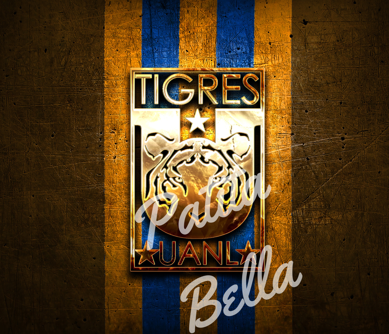 T144 Tigres Uanl transfer para sublimar termo/vaso de 20oz