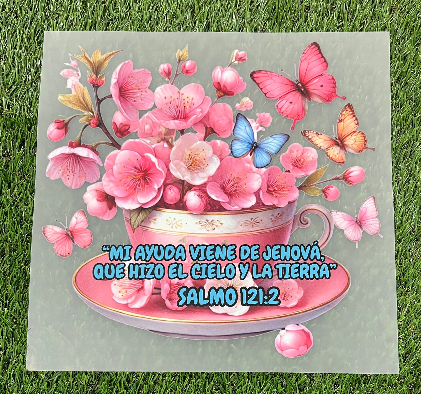 M71b DTF  transfer para playera