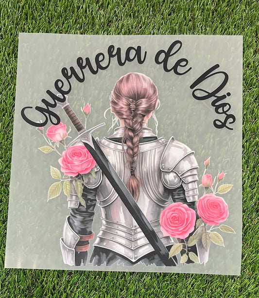 M19b DTF  transfer para playera