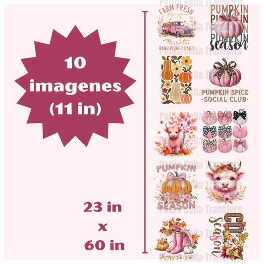 G9 Otoño Rosita Hot Peel DTF Gang Sheet