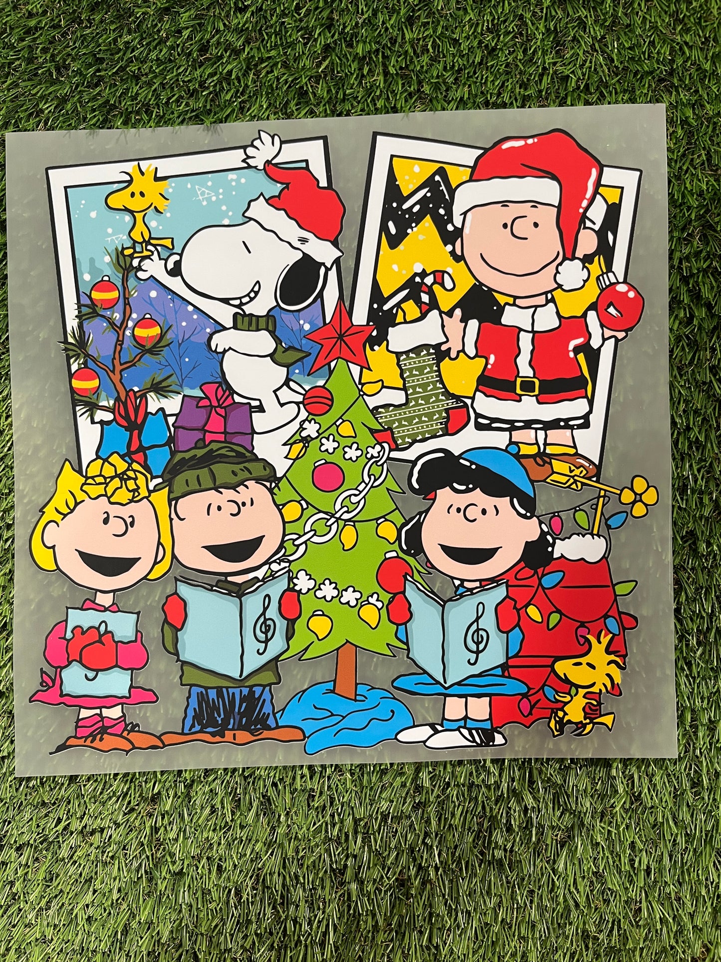 M116 DTF  transfer para playera