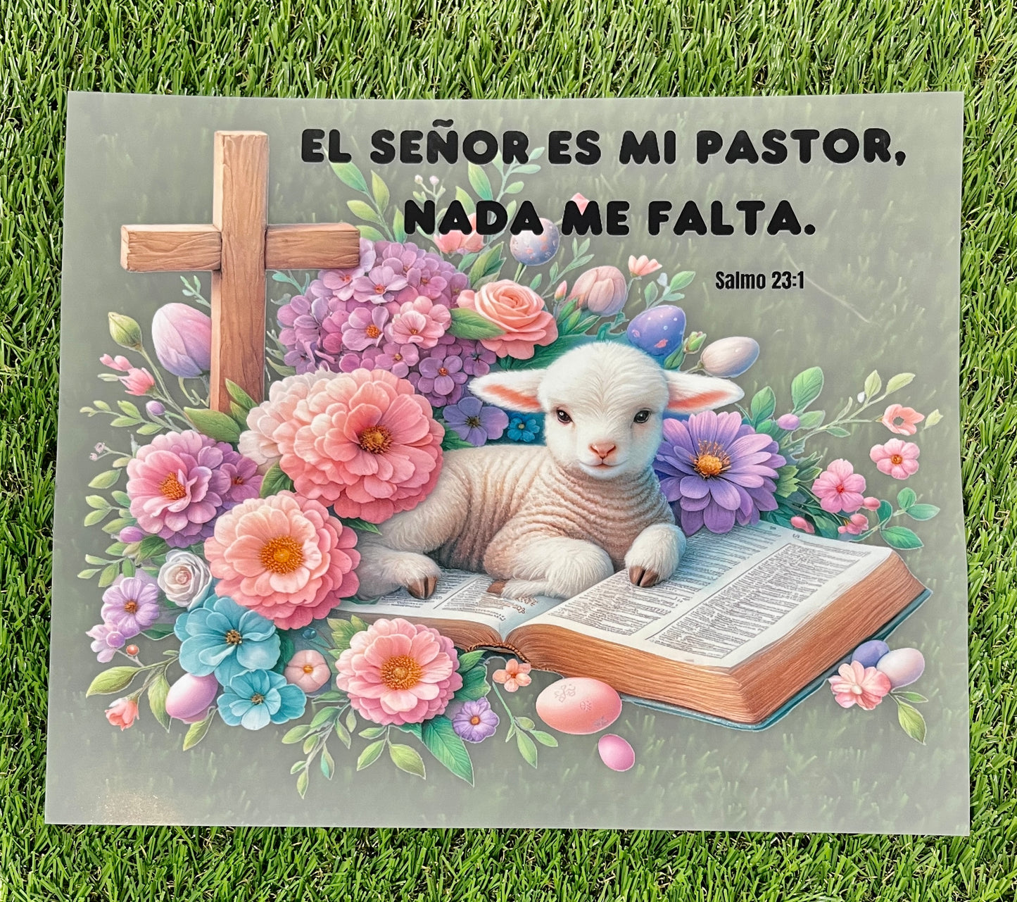 M112b DTF  transfer para playera