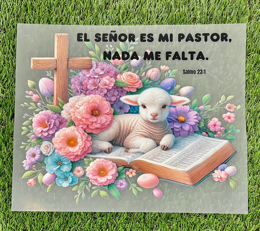 M112b DTF  transfer para playera