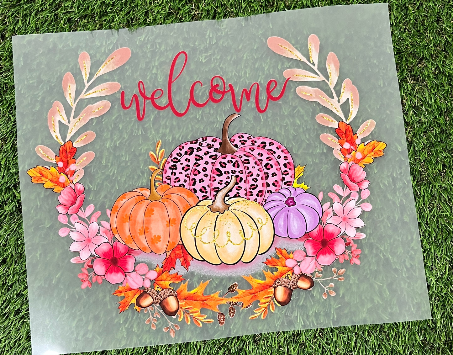 M81B DTF  transfer para playera